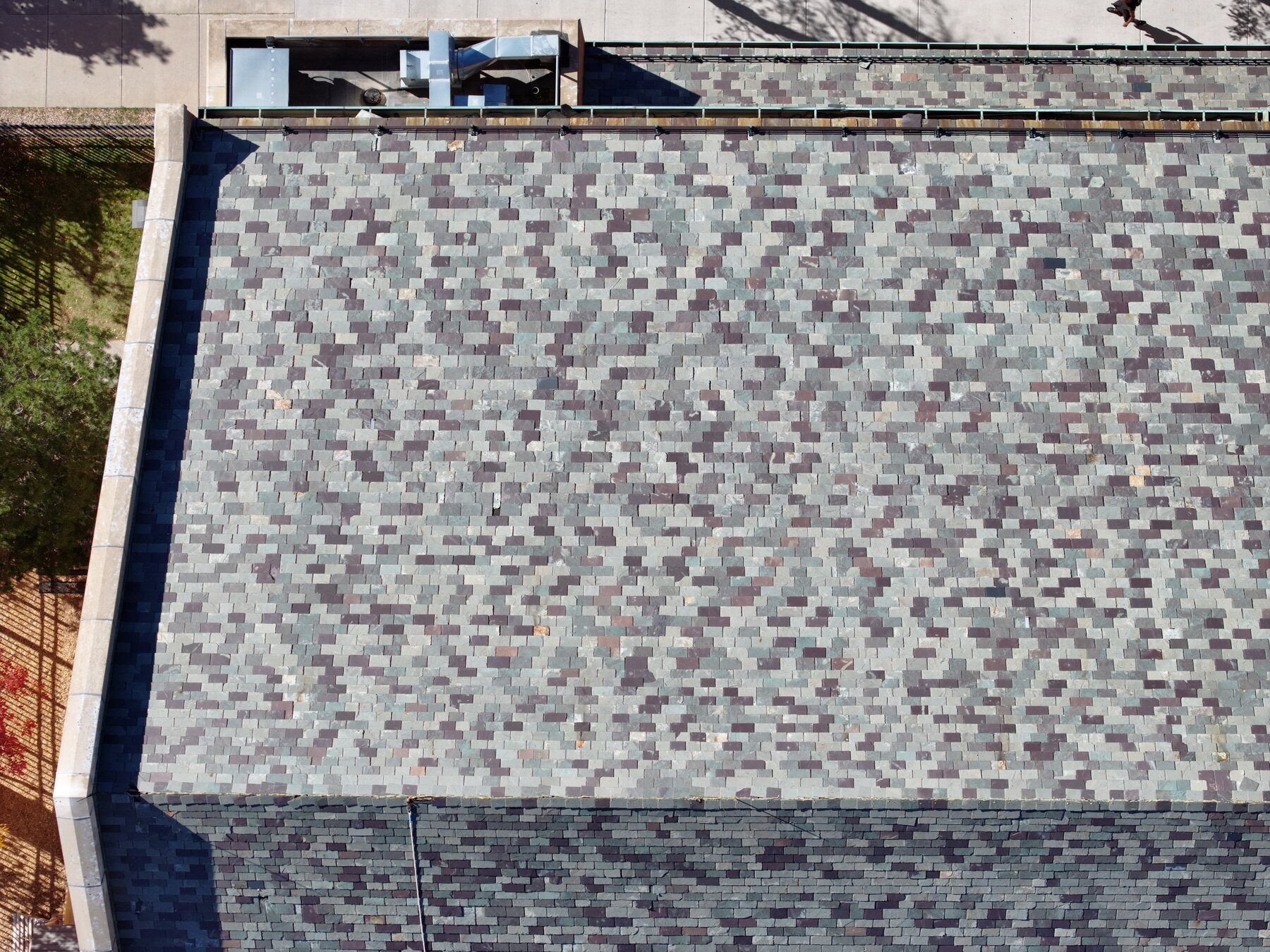 Downtown Colorado Springs shingle field showing color variation, algae staining, and wear patterns — real inspection documentation